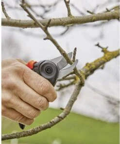 GARDENA - ExpertCut - Snoeischaar - 22 Diameter Tak -Tuin En Buiten 999x1200 1